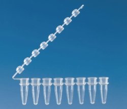 Strips of 8 PCR tubes with attached cap strips | Type : Colourless